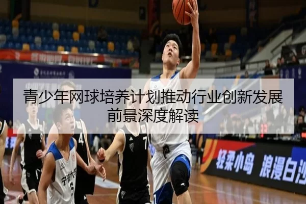 青少年网球培养计划推动行业创新发展前景深度解读
